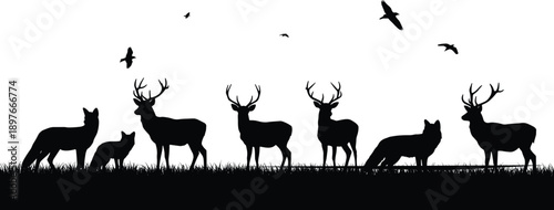 Wildlife silhouette illustration, deer and wolves in forest, flying birds, nature scene, predator prey concept, black vector art, grassy terrain