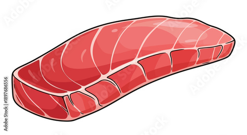 Raw Salmon Sashimi Slice Illustration.