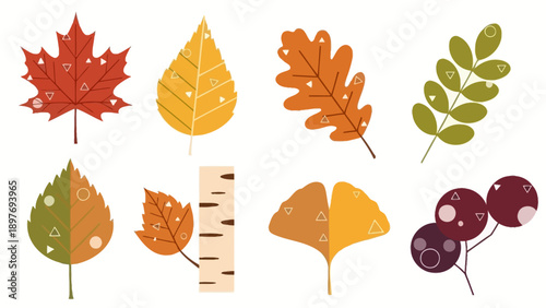 Autumn Leaves Collection: Maple, Oak, Birch, Ginkgo, Rowan - Seasonal Fall Foliage Vector Icons