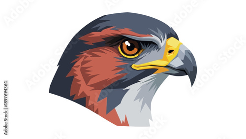 Close-up of a Peregrine Falcon's head, sharp focus on its intense eye and hooked beak.