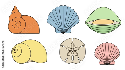 Collection of Diverse Seashells and Sand Dollar Icons