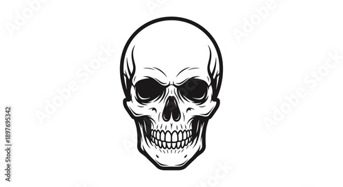 Black and White Skull Illustration.