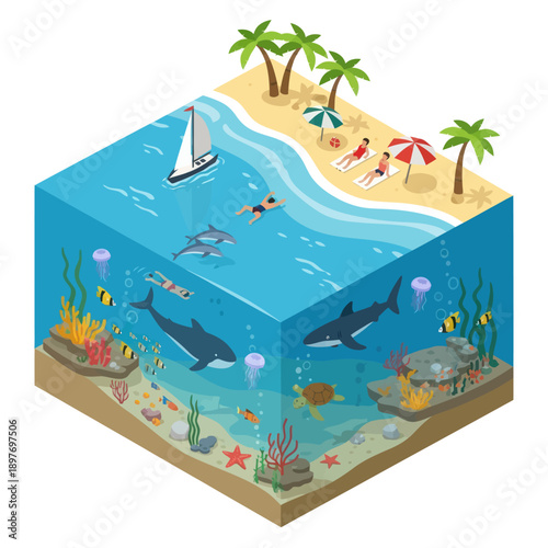 Underwater Scene with Marine Life and Beach.