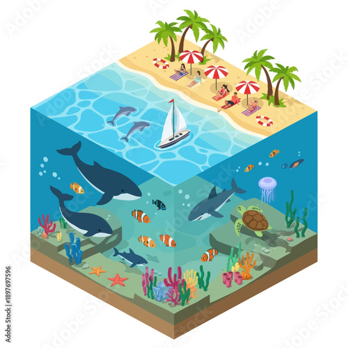 Underwater Scene with Marine Life and Beach.