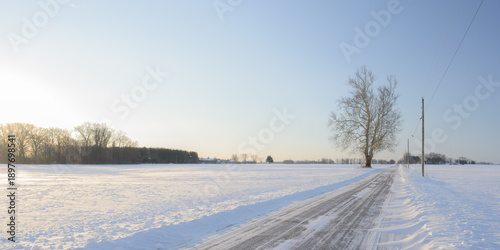 Rural snow-covered country road through winter farmland with bare trees and blowing snow in golden morning light, Indiana countryside landscape with clear blue sky and power lines