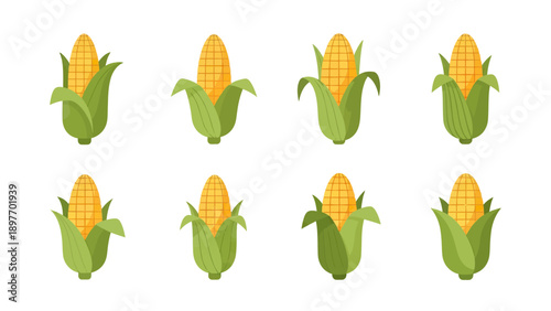 Corn on the Cob Variety Set