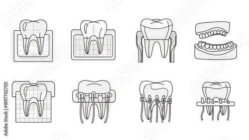 Dental Anatomy and Treatments Vector Icons