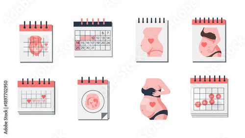 Pregnancy Timeline Vector Icons: Calendar and Belly Illustrations