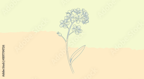 A serene illustration of a delicate flower blooming in a peaceful landscape viewed from a gentle perspective.