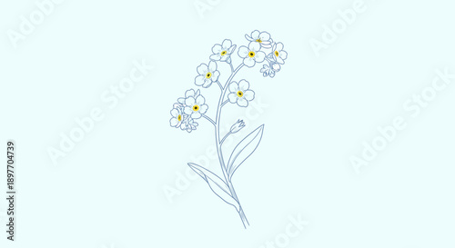 A delicate illustration of a flower with petals and leaves, viewed from the side in a simple environment