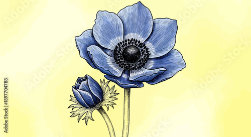 A beautiful blue flower blooming in a field with a bud, illustrated in a graphic style.