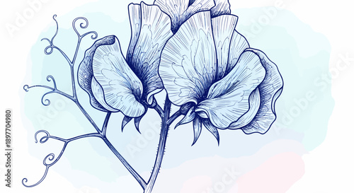 A delicate flower illustration featuring petals, stem, and leaves from a close-up viewpoint.