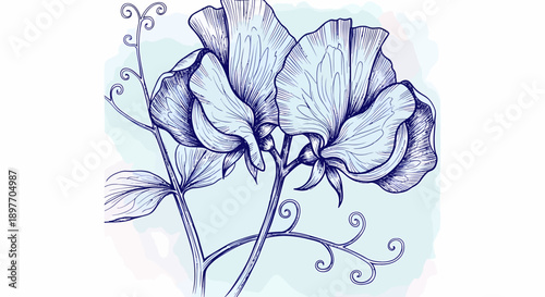 A delicate flower illustration with intricate details and swirling stems in a botanical art piece viewed from directly above.