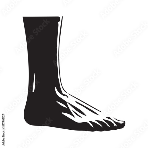 vector illustration of man foot