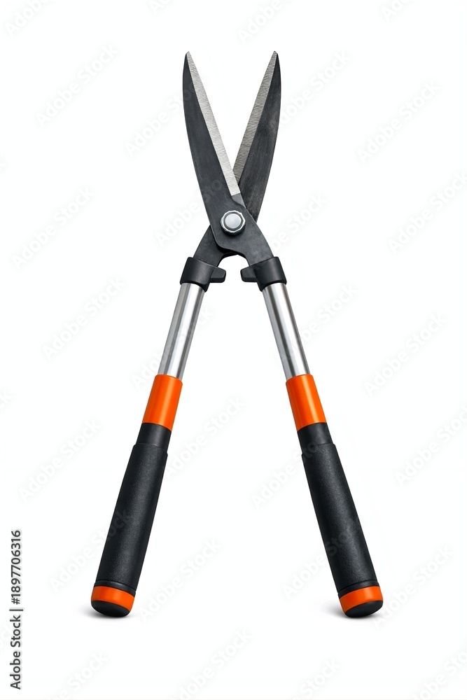 custom made wallpaper toronto digitalGarden Hedge Trimmers Isolated on White Background