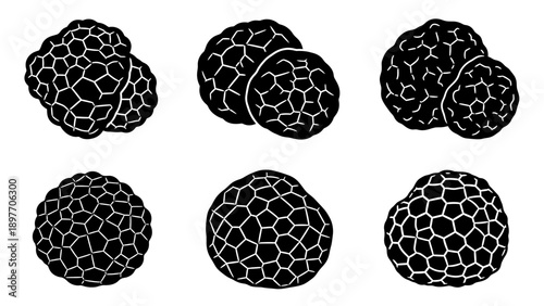 Black Truffles Collection, Gourmet Food Ingredient, Isolated on White Background