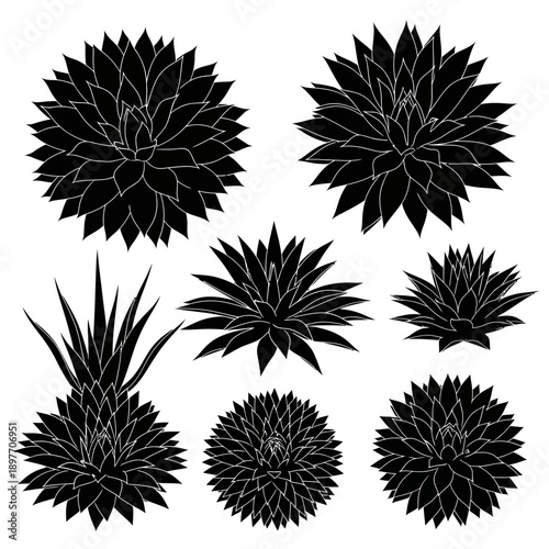 Collection of Black Silhouette Succulent Plants, Various Shapes and Sizes