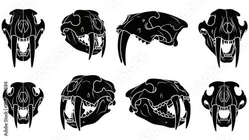 Sabre-Toothed Cat Skull Set: Multiple Angles, Black Silhouette, Extinct Predator