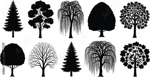 Collection of detailed black tree silhouettes including pine, willow, deciduous, and ornamental trees isolated on white background for landscape design, vector illustration, and creative projects