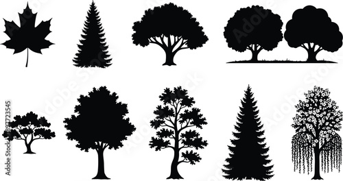 Collection of tree and leaf silhouettes including maple leaf, pine, oak, willow, and forest trees isolated on white background for nature, ecology, and landscape design concepts