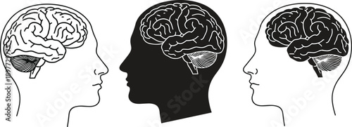 Human head silhouettes with brain anatomy illustration psychology neurology mind thinking mental health medical education vector set