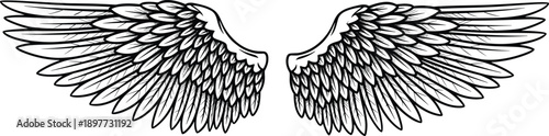 Symmetrical detailed angel wings line art vector illustration isolated black outline feathered tattoo design decorative spiritual emblem fantasy graphic icon