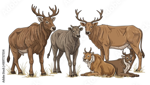 A cute cartoon illustration of a group of wild deer and reindeer with antlers isolated on a white background for Christmas nature wildlife designs