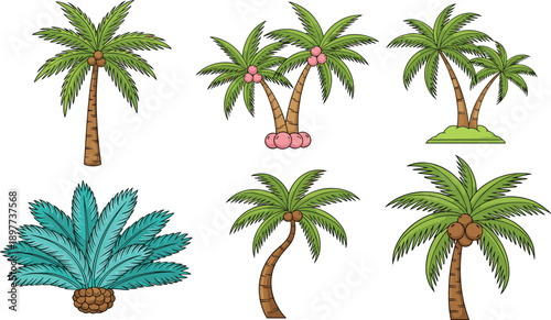 Colorful palm tree illustration set featuring tropical coconut palms and exotic island plants isolated on white background for summer nature design vector art use