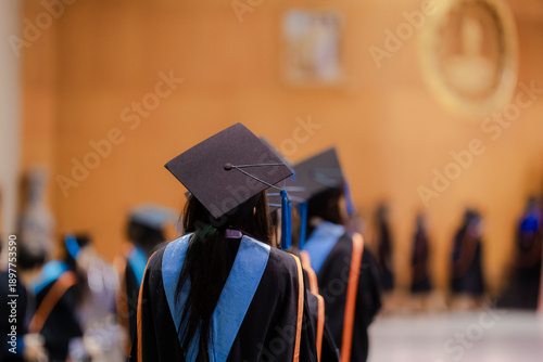 Rear view of university graduates wearing academic gowns and mortarboards standing in line during a commencement ceremony. The image represents higher education achievement, graduation success, academ