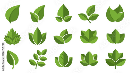 Collection of various green leaf shapes.