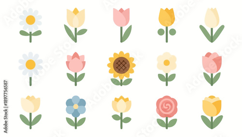 Collection of Various Colorful Flower Types.