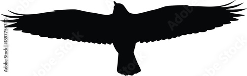 Black bird silhouette flying against purple background