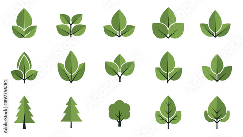 Various green leaves on trees.