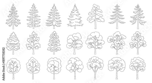 Collection of various tree outlines and silhouettes, including coniferous and deciduous types, presented as line art illustrations.