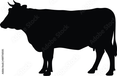 Majestic cow silhouette standing against plain background