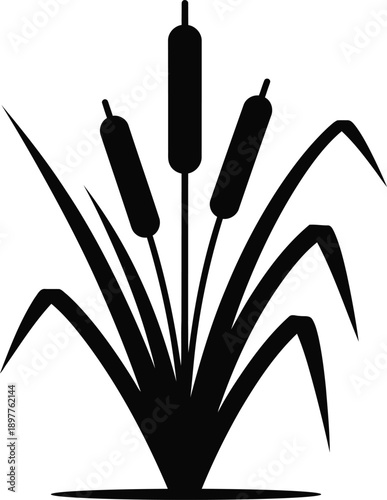 Cattail reed plant silhouette marsh wetland icon isolated black vector