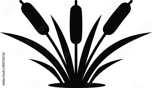Cattail reed plant silhouette wetland nature icon isolated black vector