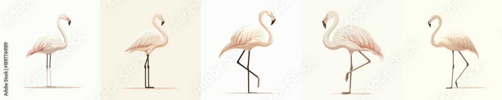 Obraz premium Minimalist Cream Flamingo Illustration Isolated on White Background