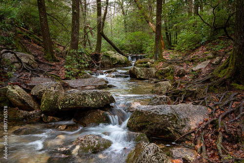 Canvas-taulu Peaceful forest stream flowing through a lush park in upstate New York with mossy rocks and trees