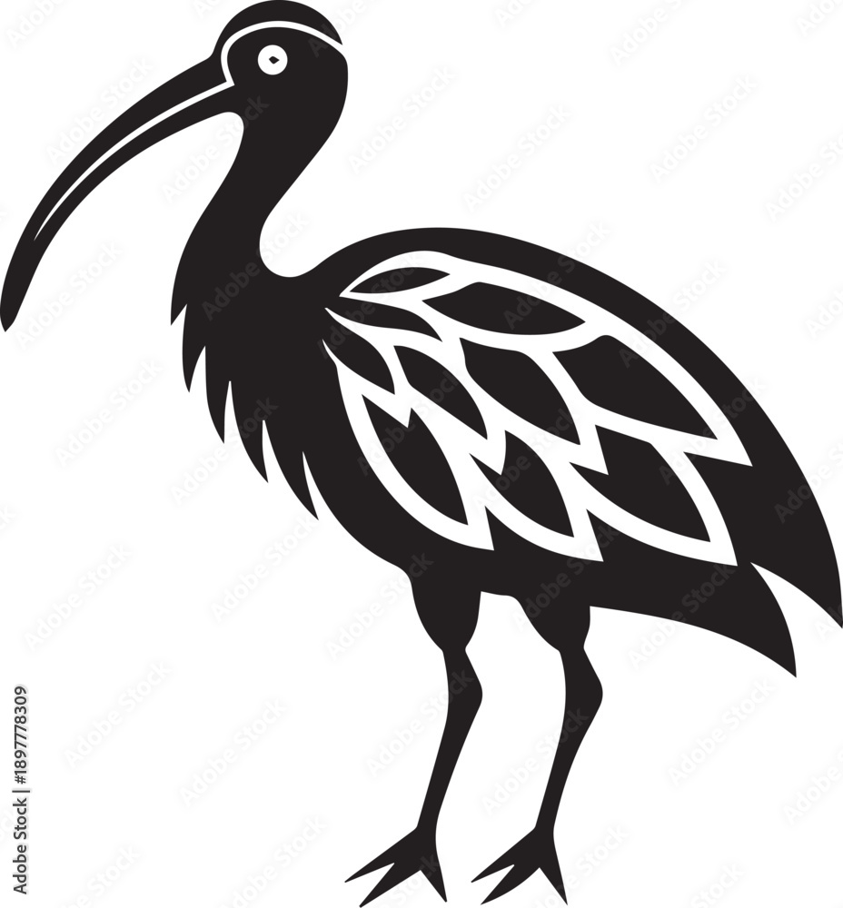 Fototapeta premium Ibis Bird Silhouette Vector Black and White