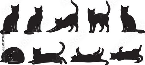 A diverse collection of black silhouette cats in various playful and relaxed poses showcasing feline elegance and grace Vector