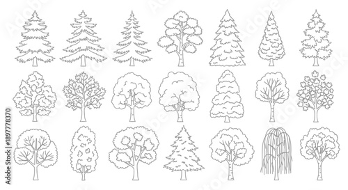 Diverse collection of outlined trees, showcasing various species and shapes in a simple line art style.
