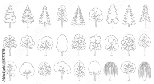 A collection of diverse tree outlines for architectural and landscape design projects, showcasing various species and shapes.