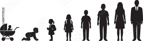The progression of human growth stages depicted through silhouettes from infancy to adulthood Vector