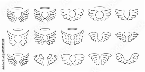 A collection of delicate black and white angel wings and halos in rows