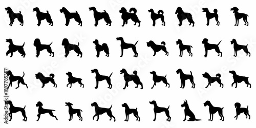 A collection of black silhouettes depicting dogs in various poses