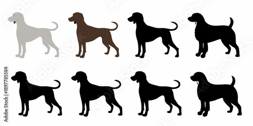 Silhouettes of a dog breed in varying shades and tones