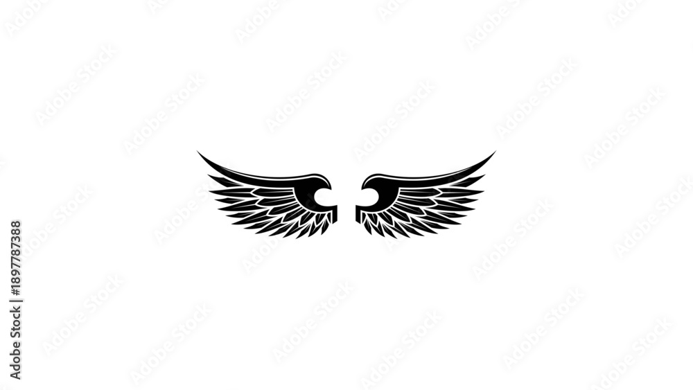 Obraz premium A pair of black, detailed feathered wings spread open.