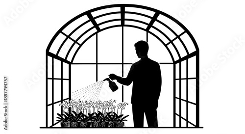 Man watering plants in a greenhouse viewed from behind, serene atmosphere