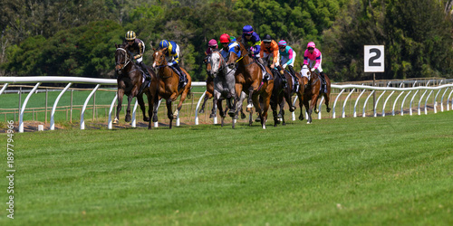 Photos Group of jockeys in colorful silks racing horses around turn on grass track